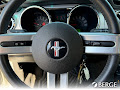 2007 Ford Mustang GT Deluxe