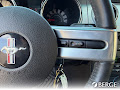 2007 Ford Mustang GT Deluxe